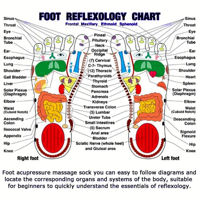 Reflexology Socks