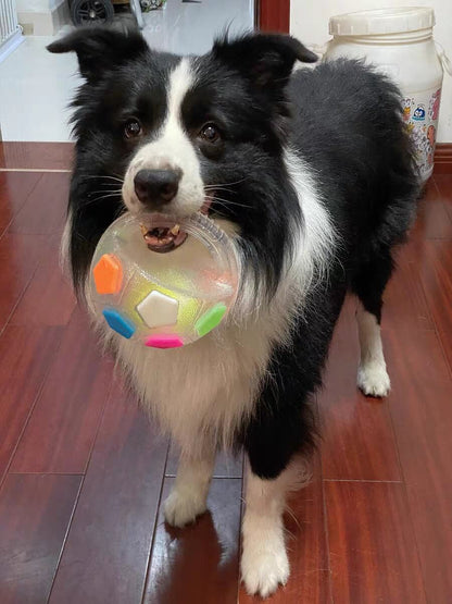 COLORIVER® TPR Dog Soccer Ball –🎁🎁