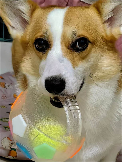 COLORIVER® TPR Dog Soccer Ball –🎁🎁