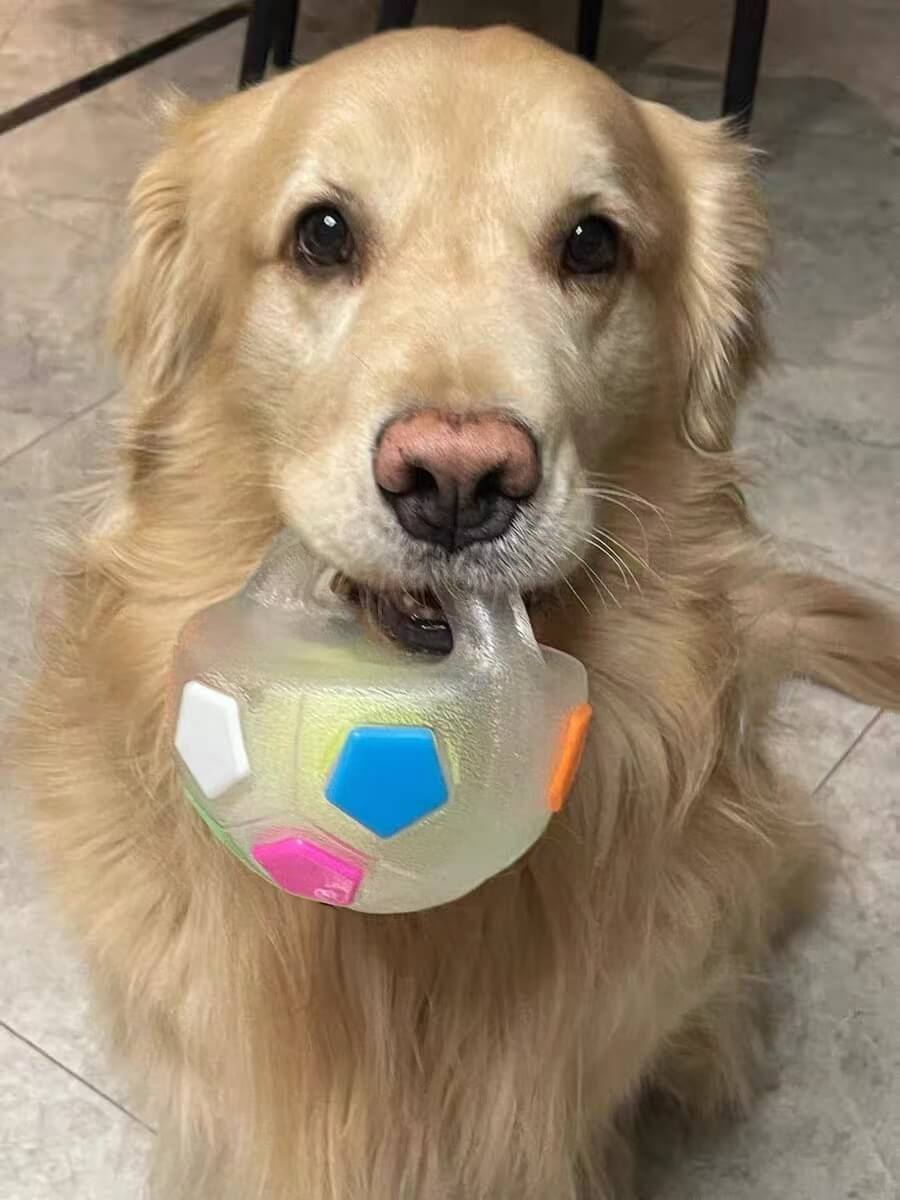 COLORIVER® TPR Dog Soccer Ball –🎁🎁