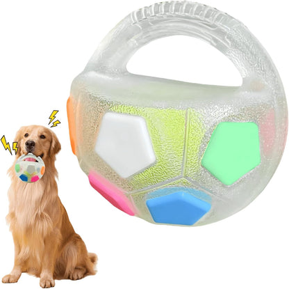 COLORIVER® TPR Dog Soccer Ball –🎁🎁